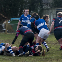 Rugby
